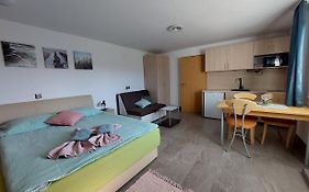 Studio Apartma Zirovnik