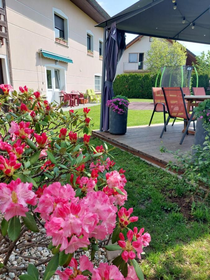 Studio Apartma Zirovnik Cerklje na Gorenjskem Extérieur photo