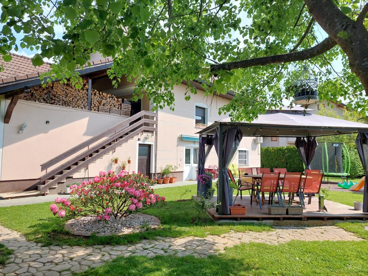 Studio Apartma Zirovnik Cerklje na Gorenjskem Extérieur photo