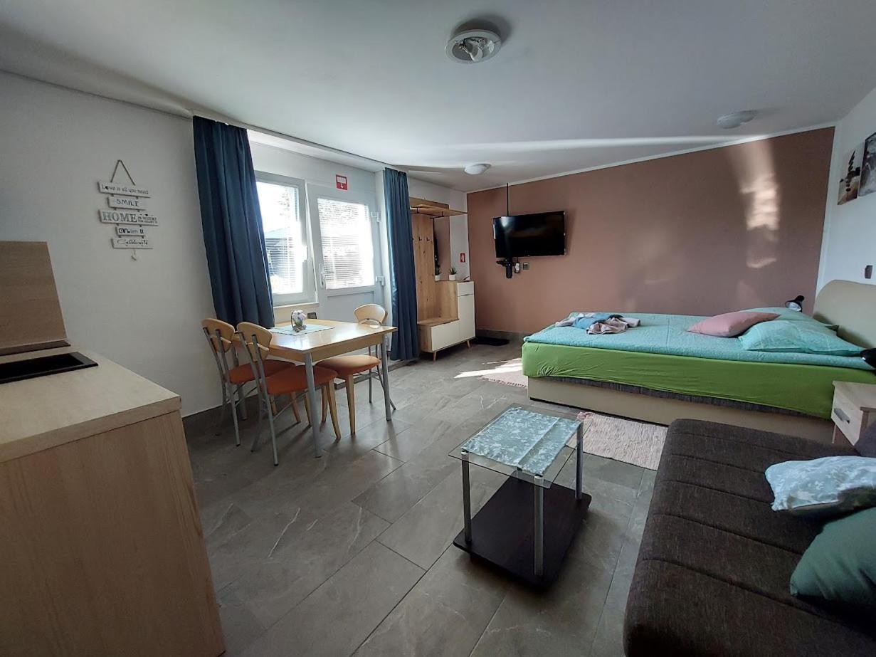 Studio Apartma Zirovnik Cerklje na Gorenjskem Extérieur photo
